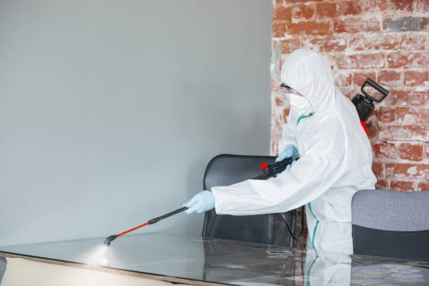 Best Emergency Mold Remediation  in Hudson, TX